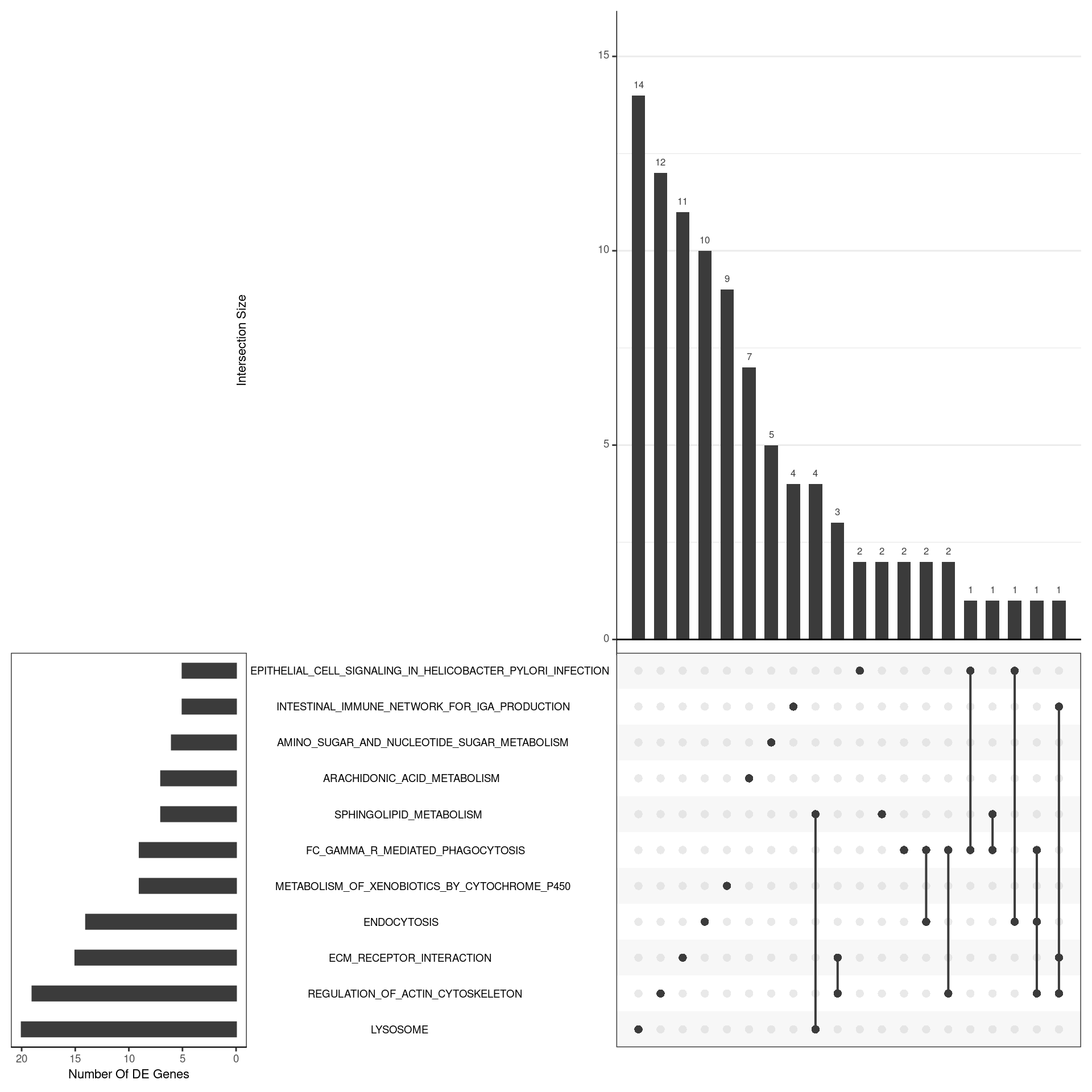*UpSet plot indicating distribution of DE genes within all significant gene sets. Gene sets were restricted to those with an FDR < 0.05 and at least 5 DE genes*